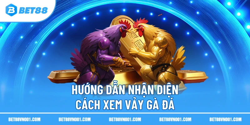 Hướng dẫn nhận diện cách xem vảy gà đá