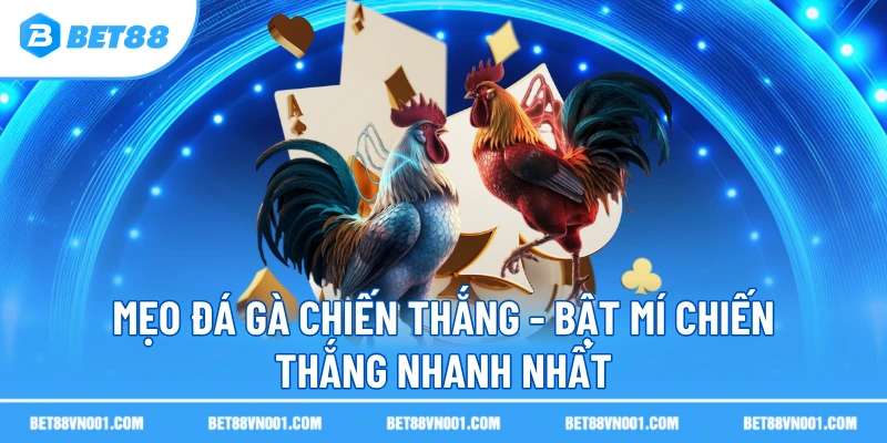 Phân tích phương pháp qua chiến thuật đá gà