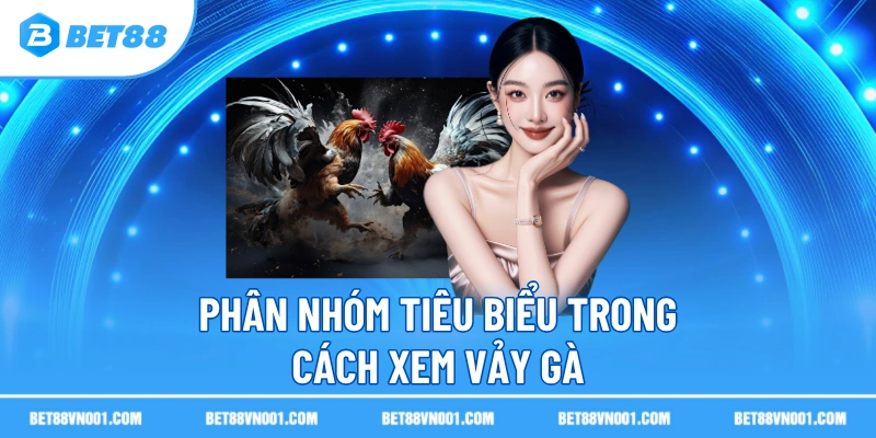 Phân nhóm tiêu biểu trong cách xem vảy gà 